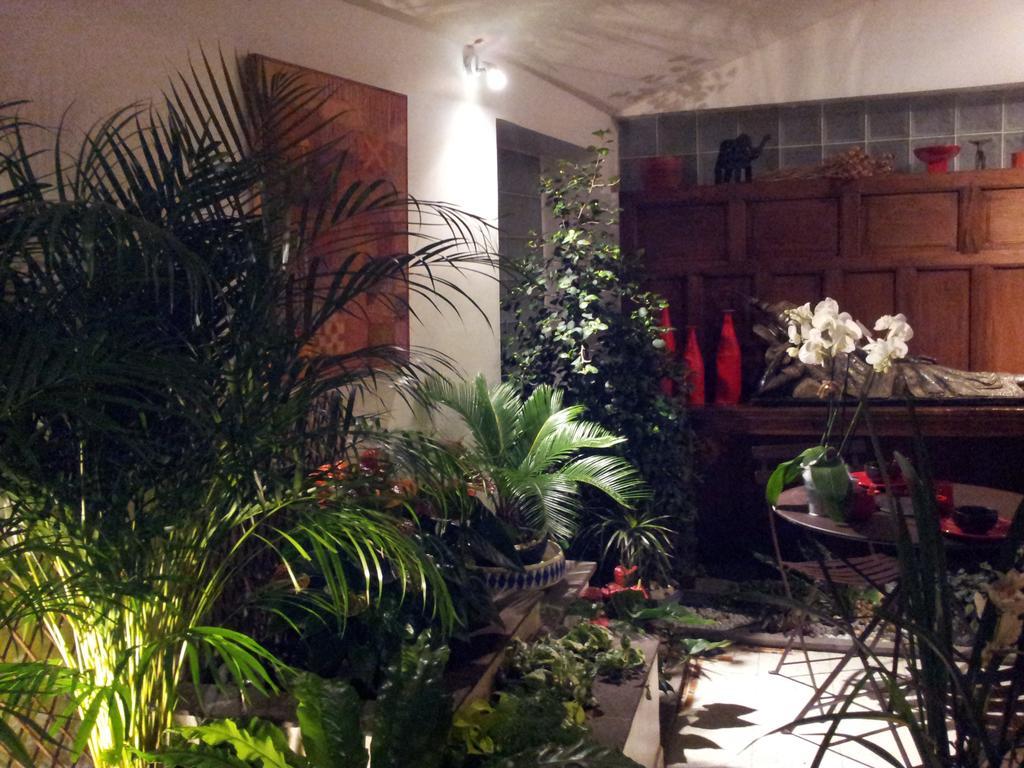 Chambres D'Hotes Le Petit Siam : Le Calme En Centre Ville クレルモン・フェラン エクステリア 写真